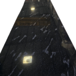Fish_Black
