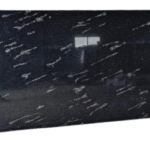 Fish_Black2